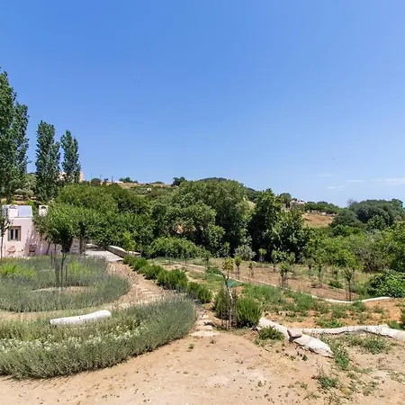 Serenity Village Apartment Aperathos