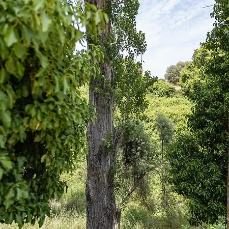 Serenity Village Appartement *