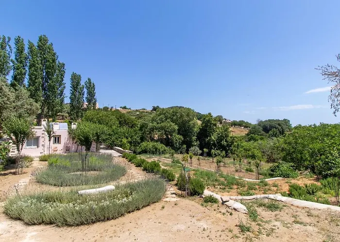 Serenity Village Lägenhet Apérathos