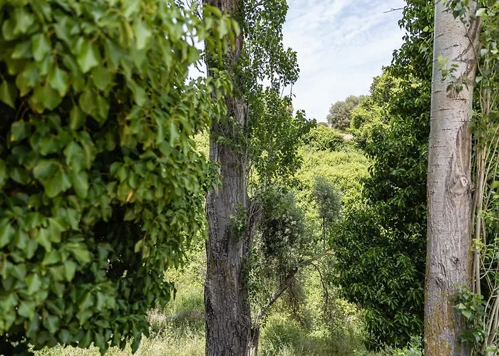 Serenity Village 公寓 *