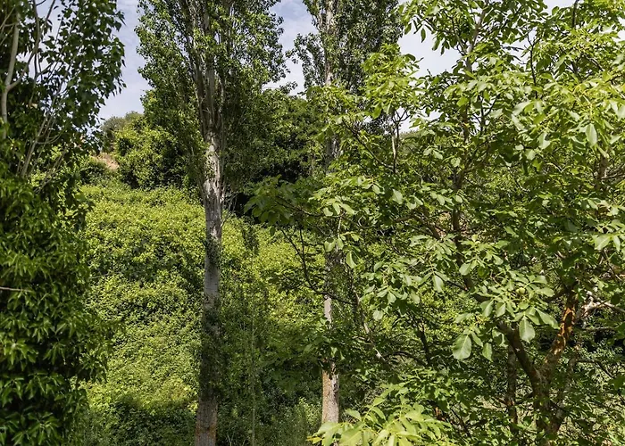 Lägenhet Serenity Village *